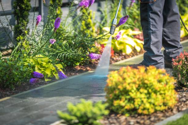 Best Animal Enclosure Cleaning  in Shinglehouse, PA